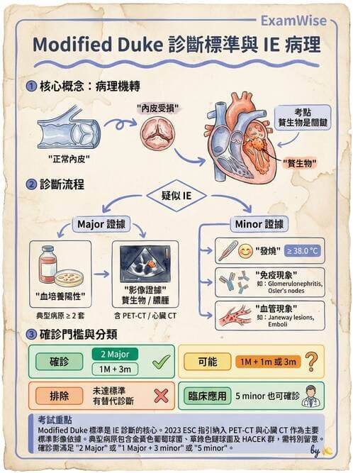 內專 - 心內膜炎與心包膜疾病 - AI 圖文解析預覽