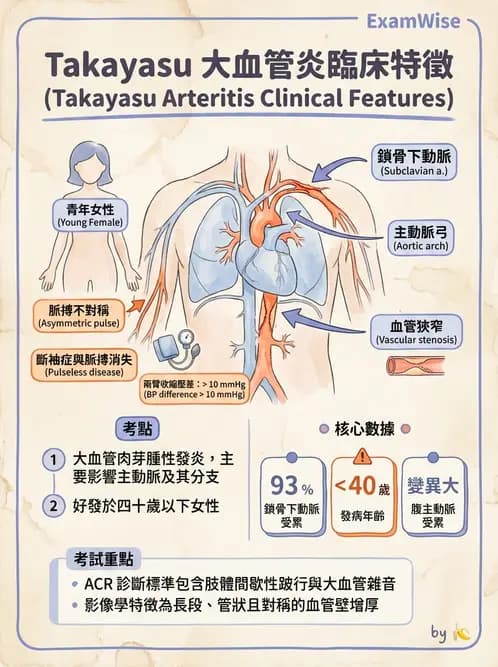 內專 - 主動脈與周邊血管疾病 - AI 圖文解析預覽
