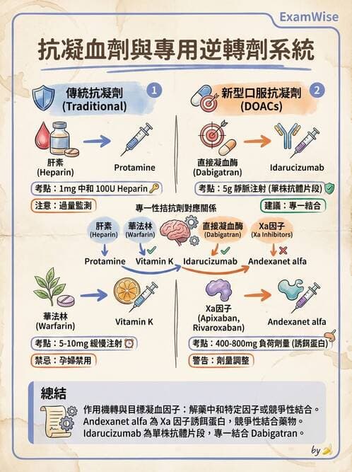 內專 - 心房顫動與上心室心律不整 - AI 圖文解析預覽