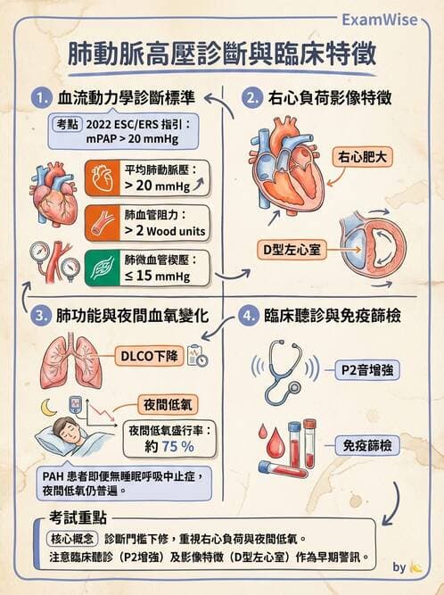 內專 - 主動脈與周邊血管疾病 - AI 圖文解析預覽