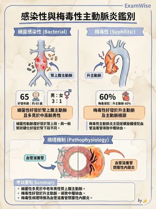 內專 - 主動脈與周邊血管疾病 - AI 圖文解析預覽