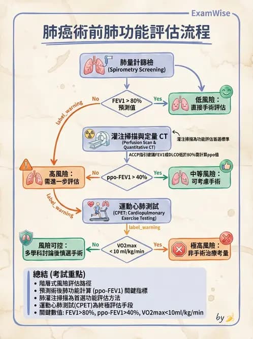 內專 - 肺癌 - AI 圖文解析預覽
