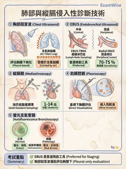 內專 - 肺癌 - AI 圖文解析預覽
