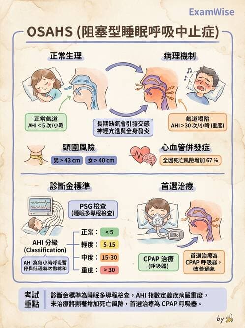 內專 - 呼吸衰竭、非侵襲性呼吸器與睡眠呼吸中止 - AI 圖文解析預覽