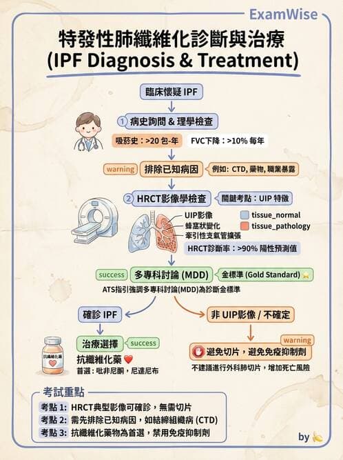 內專 - 間質性肺病與肺纖維化 - AI 圖文解析預覽