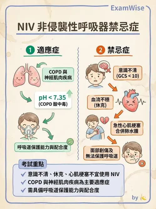 內專 - 呼吸衰竭、非侵襲性呼吸器與睡眠呼吸中止 - AI 圖文解析預覽