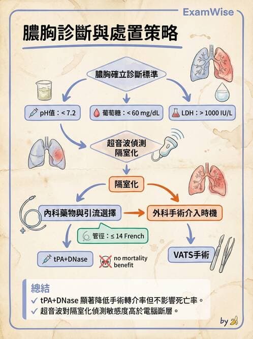 內專 - 肋膜疾病與氣胸 - AI 圖文解析預覽