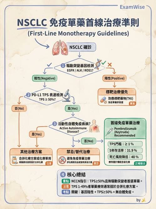 內專 - 肺癌 - AI 圖文解析預覽