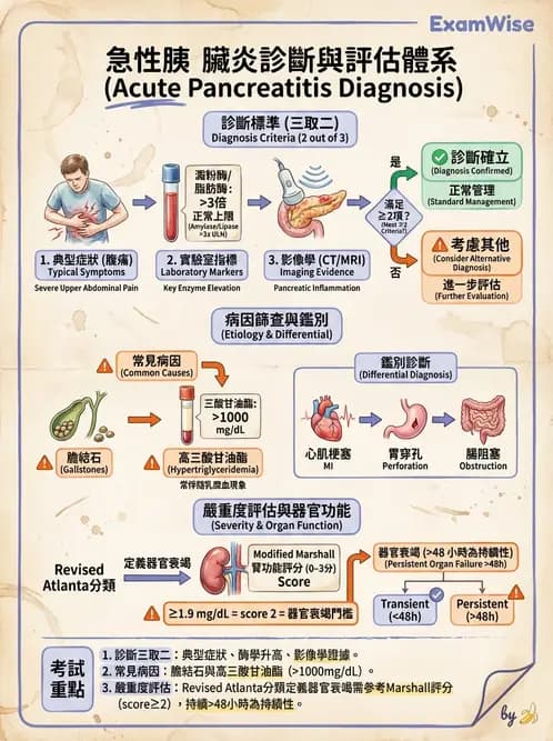 內專 - 胰臟疾病 - AI 圖文解析預覽