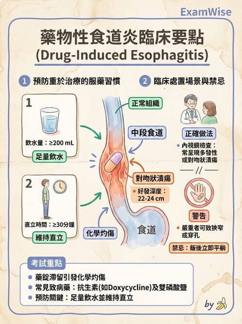 內專 - GERD、Barrett's食道與食道炎 - AI 圖文解析預覽
