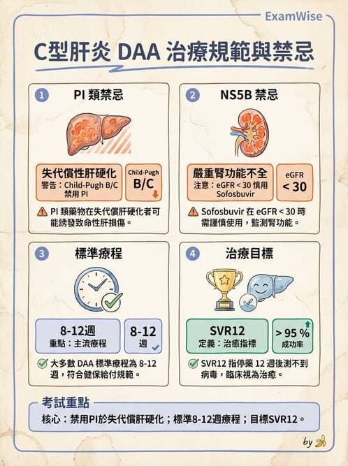 內專 - C型肝炎 - AI 圖文解析預覽