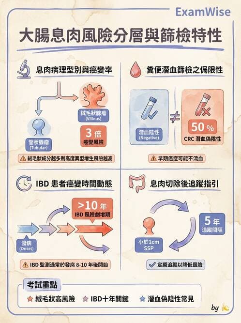 內專 - 大腸直腸癌與息肉 - AI 圖文解析預覽