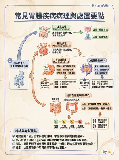 內專 - 胃炎、術後併發症與其他上消化道疾病 - AI 圖文解析預覽