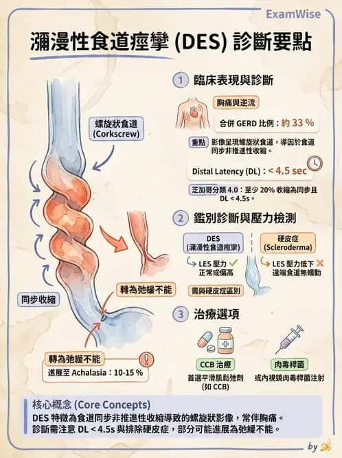 內專 - 食道運動障礙與吞嚥困難 - AI 圖文解析預覽