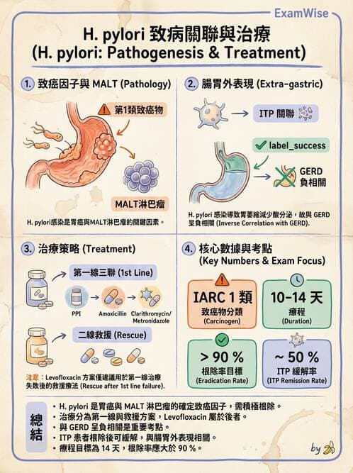 內專 - 幽門螺旋桿菌診斷與根除 - AI 圖文解析預覽