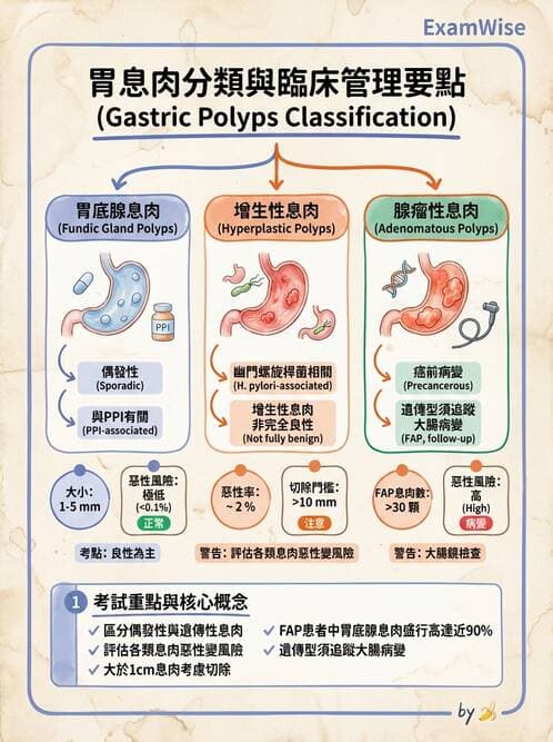 內專 - 胃炎、術後併發症與其他上消化道疾病 - AI 圖文解析預覽
