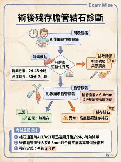 內專 - 膽道疾病與膽酸生理 - AI 圖文解析預覽