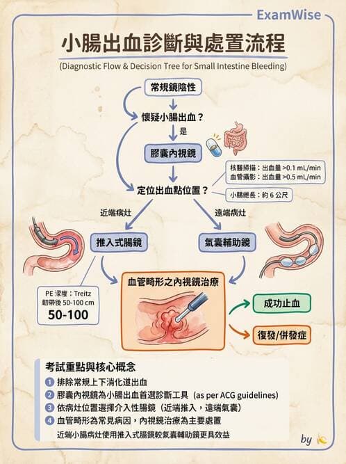 內專 - 憩室病、缺血性腸病與消化道出血 - AI 圖文解析預覽