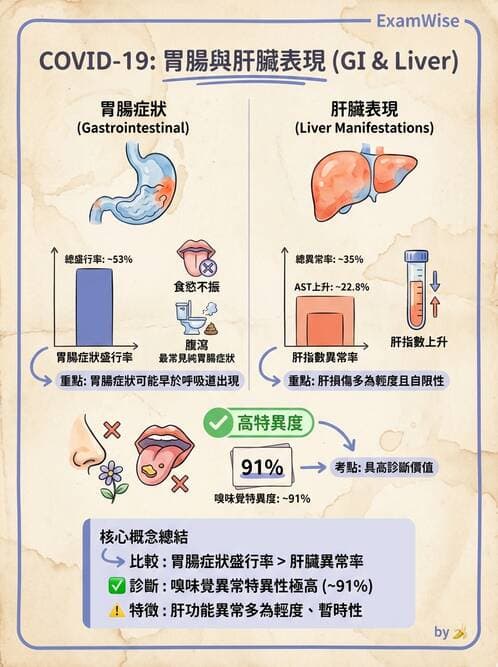 內專 - 急性肝炎、脂肪肝與其他肝病 - AI 圖文解析預覽