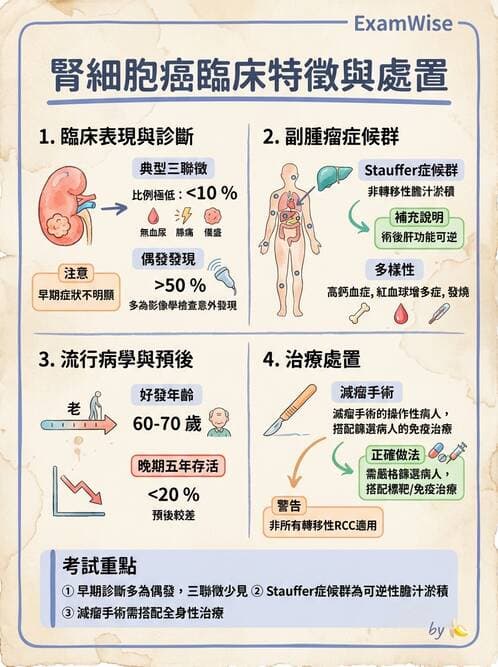 內專 - 腎間質疾病與其他 - AI 圖文解析預覽