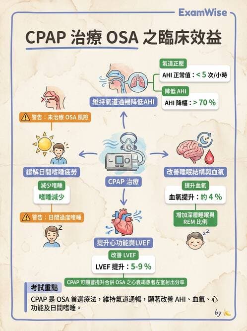 內專 - 呼吸衰竭、非侵襲性呼吸器與睡眠呼吸中止 - AI 圖文解析預覽