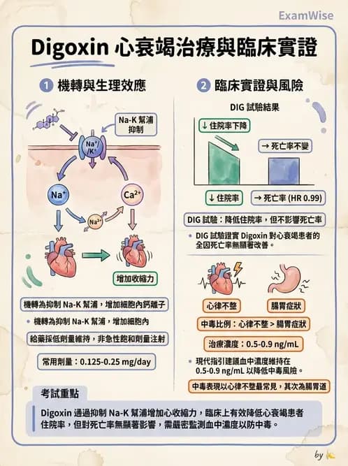 內專 - 心衰竭 - AI 圖文解析預覽