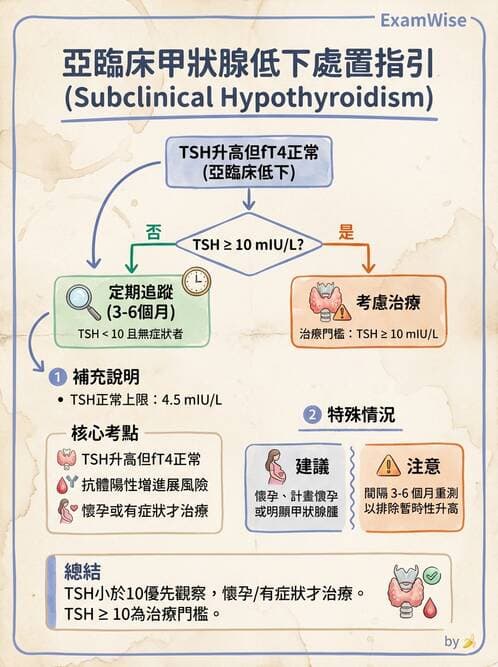 內專 - 甲狀腺疾病 - AI 圖文解析預覽