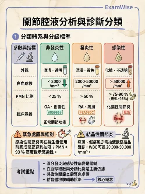 內專 - 免疫學基礎與特殊免疫反應 - AI 圖文解析預覽