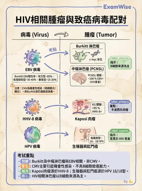 內專 - 蟲媒感染、性傳播感染與寄生蟲 - AI 圖文解析預覽