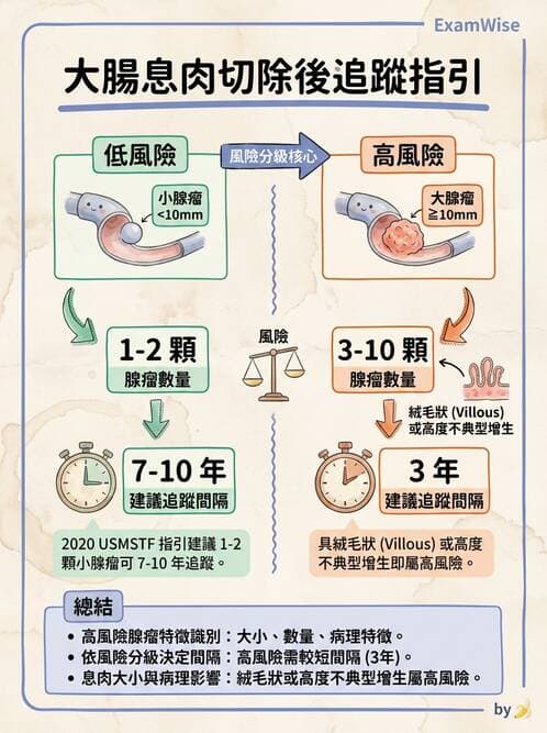 內專 - 大腸直腸癌與息肉 - AI 圖文解析預覽