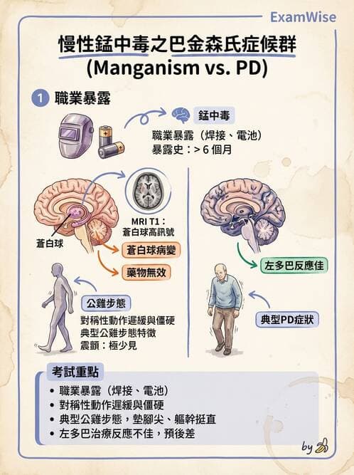 內專 - 帕金森與運動障礙 - AI 圖文解析預覽