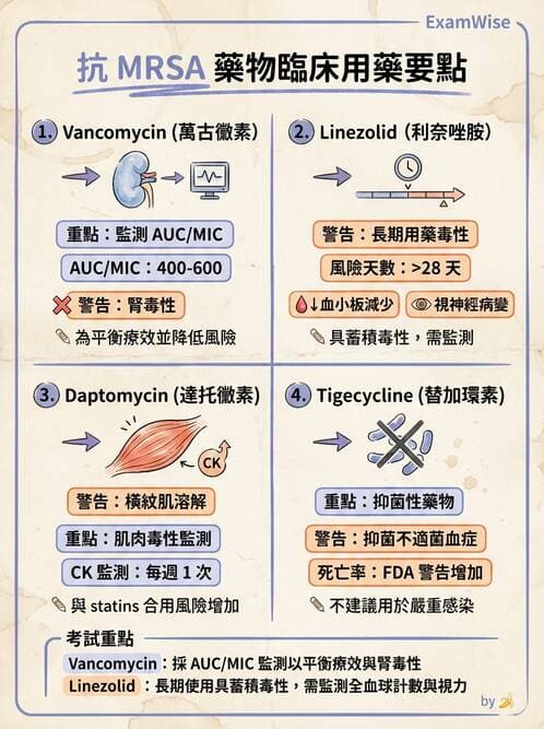 內專 - 革蘭氏陽性菌感染 - AI 圖文解析預覽