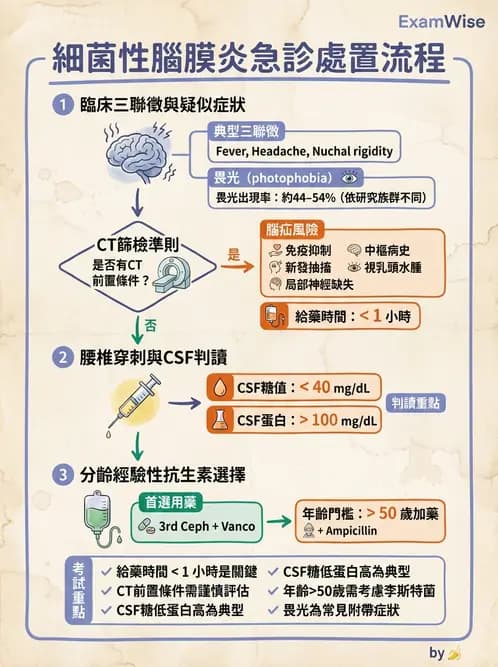 內專 - 呼吸道與中樞神經感染 - AI 圖文解析預覽