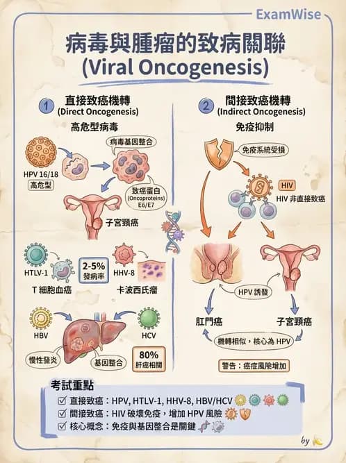 內專 - 蟲媒感染、性傳播感染與寄生蟲 - AI 圖文解析預覽
