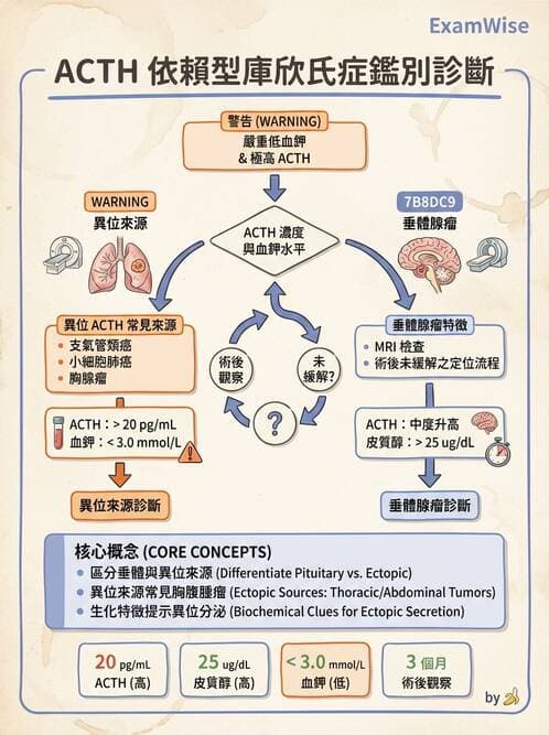 內專 - 腎上腺皮質疾病 - AI 圖文解析預覽