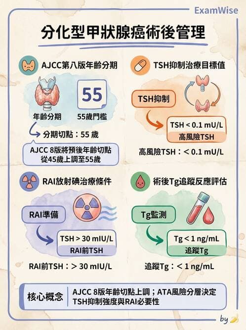內專 - 甲狀腺疾病 - AI 圖文解析預覽