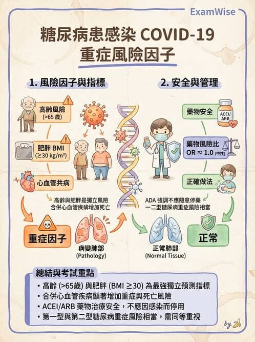 內專 - 糖尿病診斷、特殊族群與代謝性疾病 - AI 圖文解析預覽