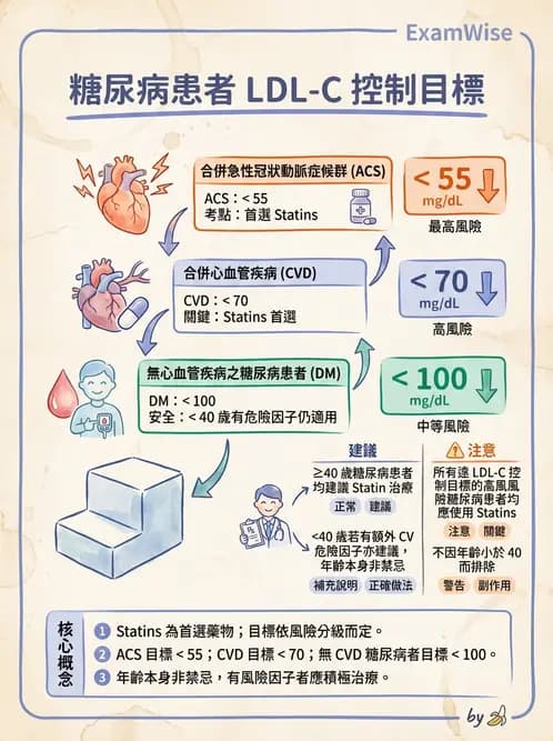 內專 - 糖尿病心血管保護與血脂異常 - AI 圖文解析預覽