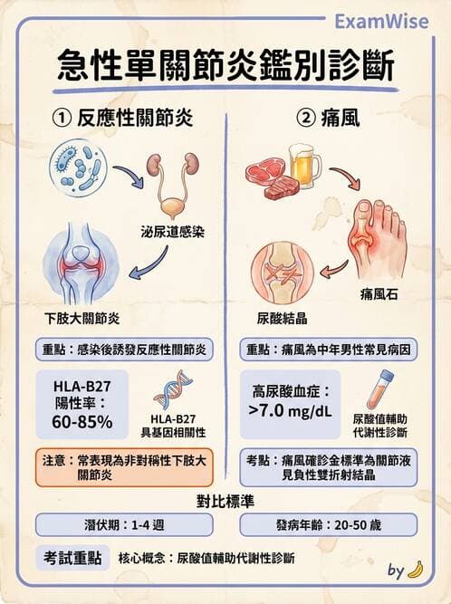 內專 - 痛風、結晶性與退化性關節炎 - AI 圖文解析預覽
