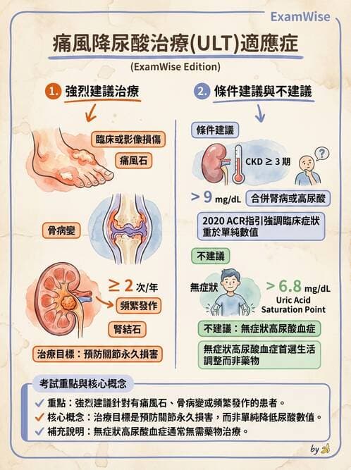 內專 - 痛風、結晶性與退化性關節炎 - AI 圖文解析預覽
