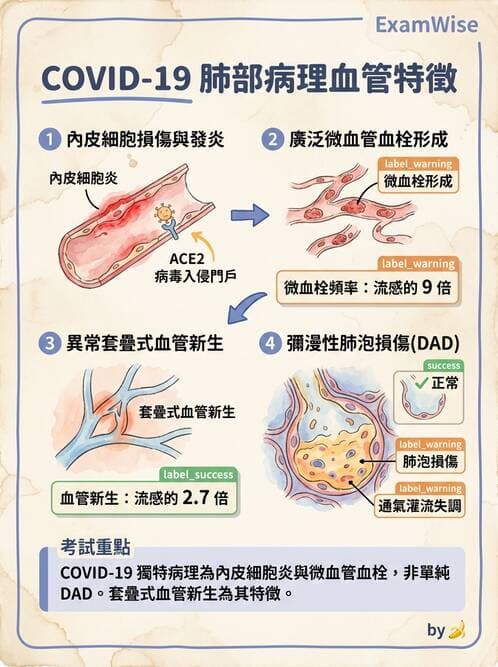 內專 - 免疫學基礎與特殊免疫反應 - AI 圖文解析預覽