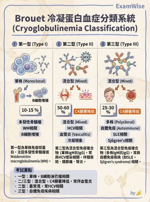 內專 - 血管炎 - AI 圖文解析預覽