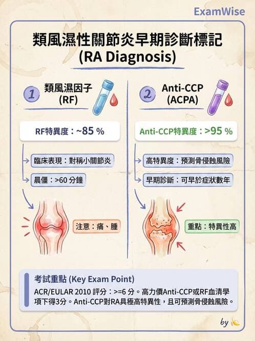 RA - 類風濕性關節炎 - AI 圖文解析預覽