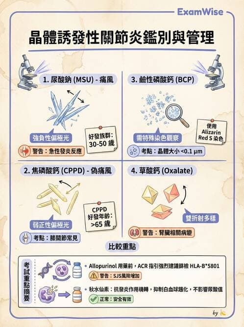 內專 - 痛風、結晶性與退化性關節炎 - AI 圖文解析預覽
