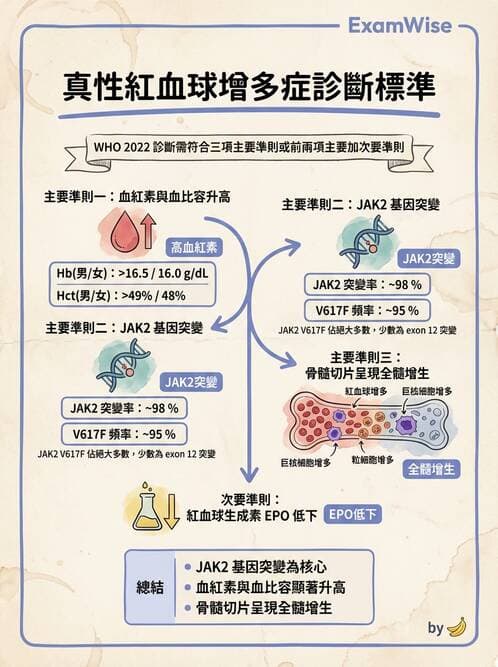 內專 - 紅血球增生症與PNH - AI 圖文解析預覽