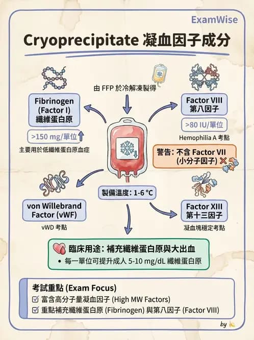內專 - 凝血與輸血 - AI 圖文解析預覽