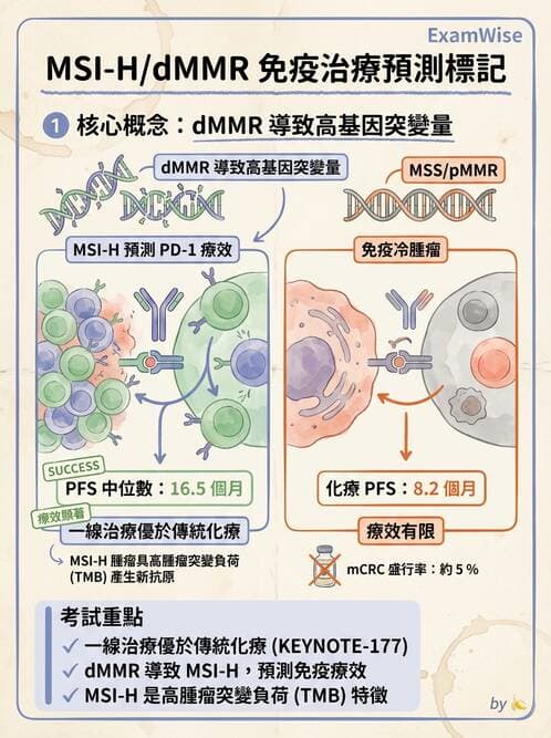 內專 - 免疫與標靶治療 - AI 圖文解析預覽
