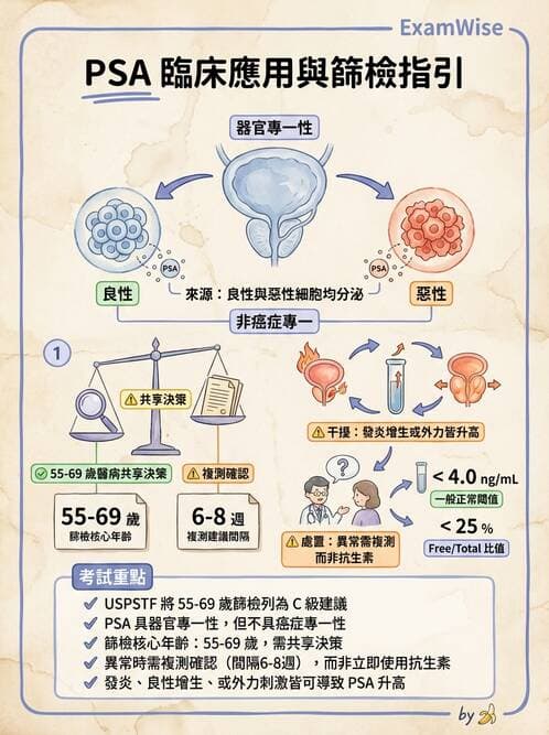 內專 - 腫瘤總論與篩檢 - AI 圖文解析預覽