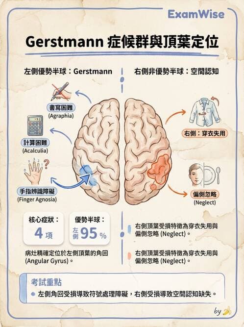 內專 - 腦血管疾病 - AI 圖文解析預覽