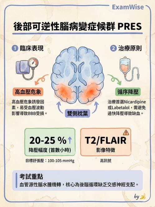 內專 - 腦血管疾病 - AI 圖文解析預覽